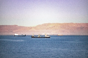 Natural bristles and Horse Hair problems on Suez Canal